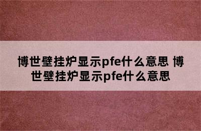 博世壁挂炉显示pfe什么意思 博世壁挂炉显示pfe什么意思